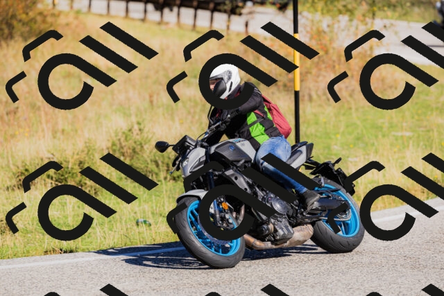 202509201050-_04A0390_c3