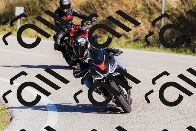 202509201050-_04A0391_c3