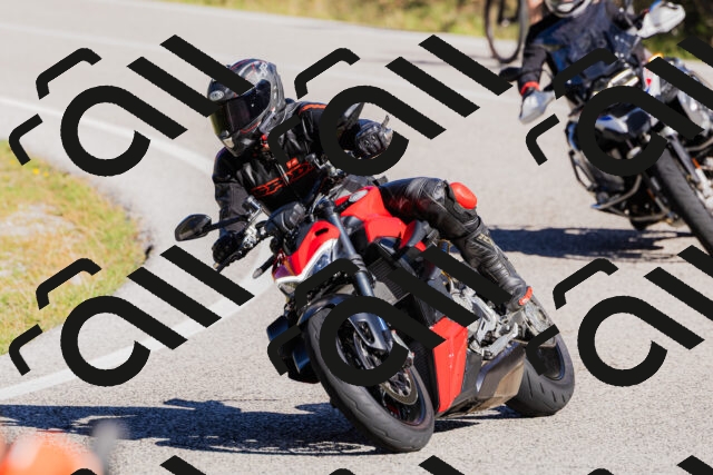 202509201050-_04A0394_c3