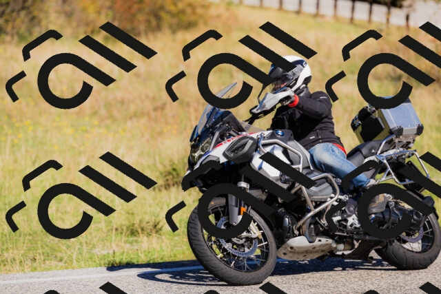 202509201050-_04A0396_c3