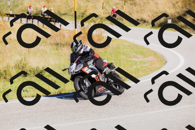 202509201050-_04A0399_c3