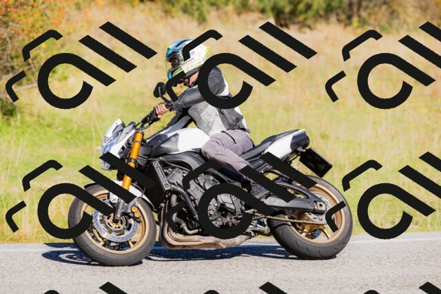 202509201050-_04A0403_c3