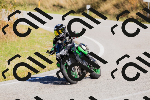 202509201050-_04A0405_c3