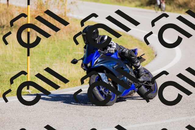 202509201051-_04A0408_c3