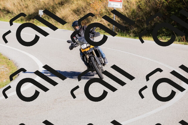 202509201053-_04A0410_c3