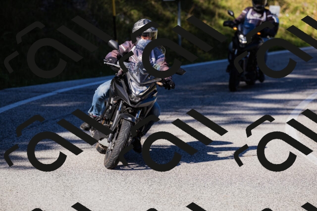 202509201055-_04A0419_c3