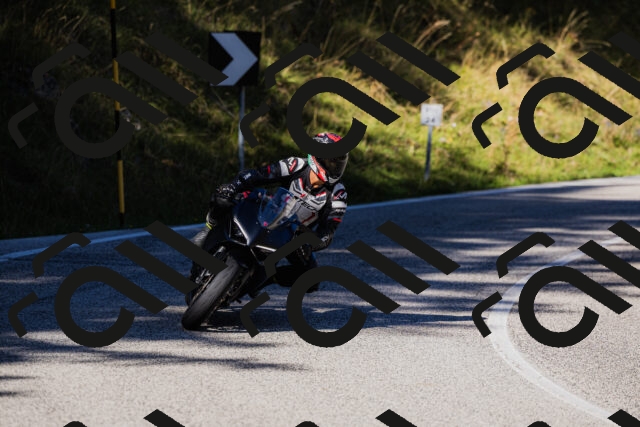 202509201055-_04A0423_c3