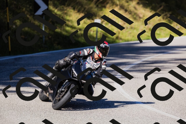 202509201055-_04A0424_c3