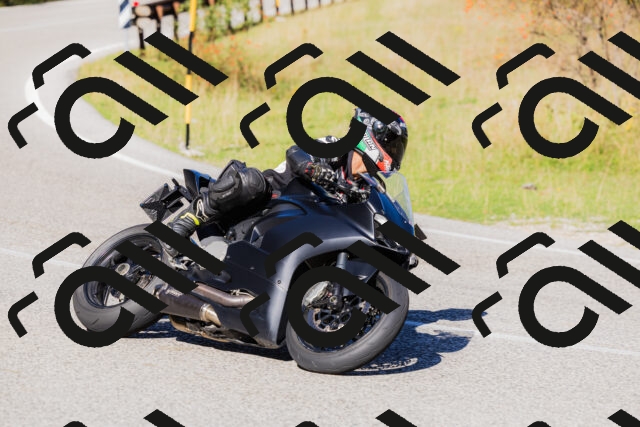 202509201055-_04A0425_c3