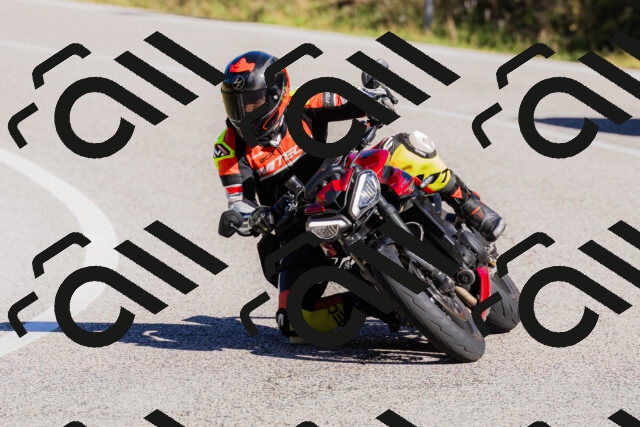 202509201056-_04A0432_c3