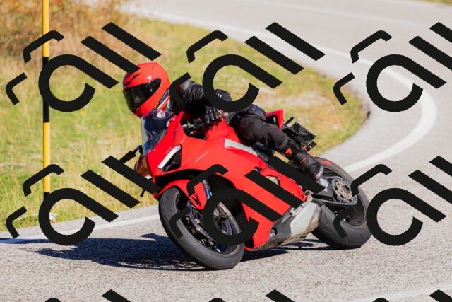 202509201057-_04A0455_c3