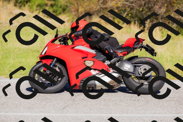 202509201057-_04A0457_c3