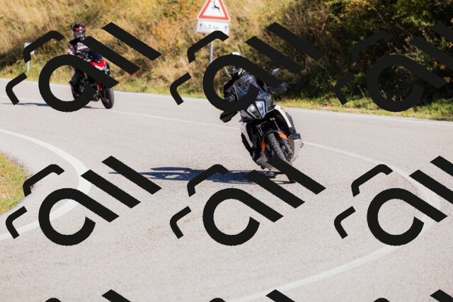 202509201058-_04A0461_c3