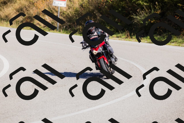 202509201058-_04A0463_c3