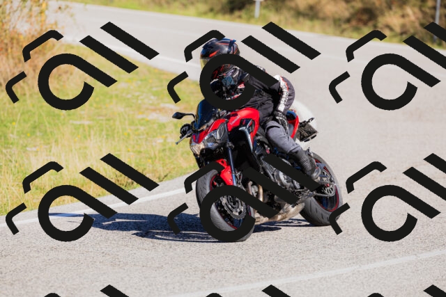 202509201058-_04A0464_c3