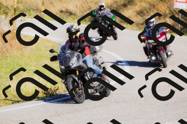 202509201100-_04A0467_c3