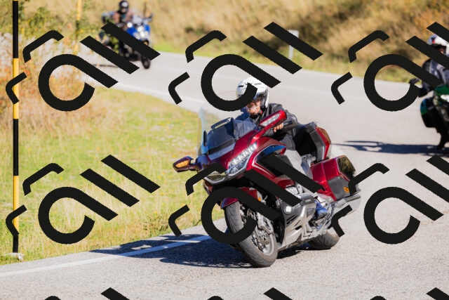 202509201100-_04A0468_c3