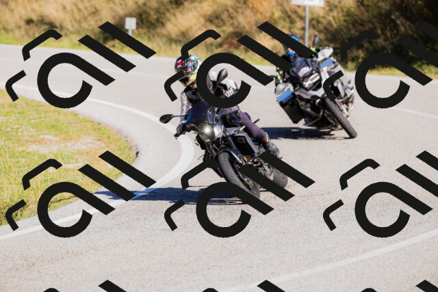 202509201100-_04A0478_c3