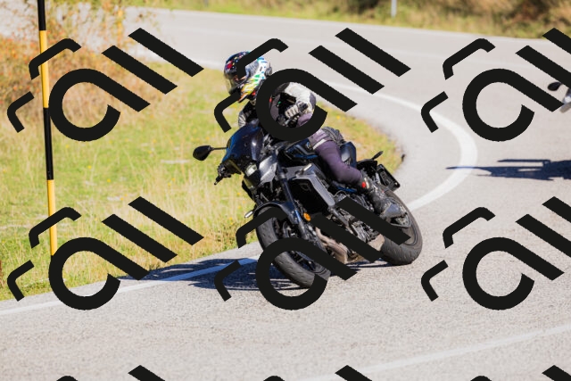 202509201100-_04A0479_c3