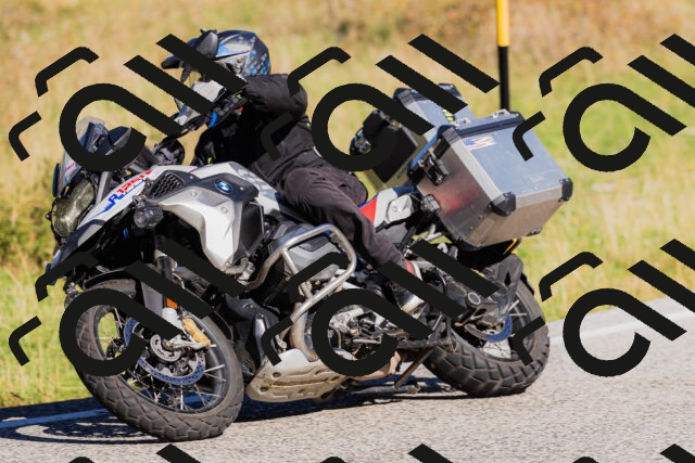 202509201100-_04A0480_c3