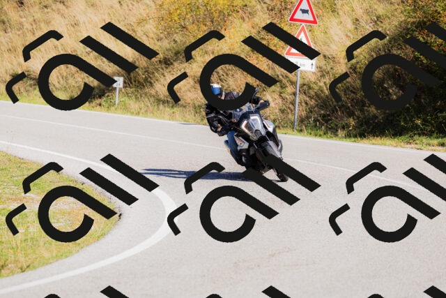 202509201101-_04A0484_c3