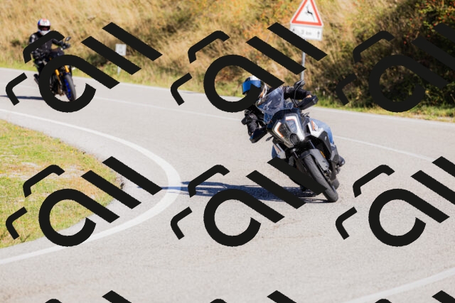 202509201101-_04A0485_c3