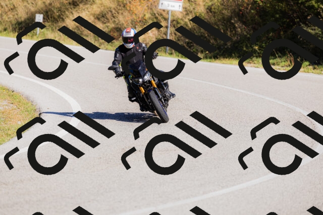 202509201101-_04A0487_c3