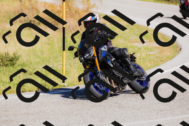 202509201101-_04A0489_c3