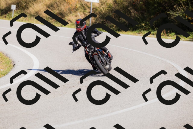 202509201101-_04A0490_c3