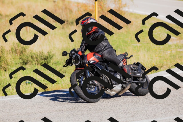 202509201101-_04A0492_c3