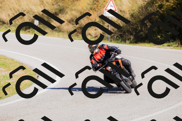 202509201102-_04A0499_c3