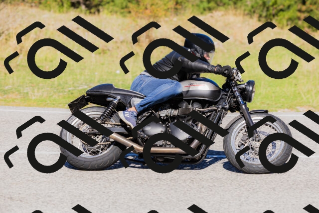 202509201103-_04A0510_c3