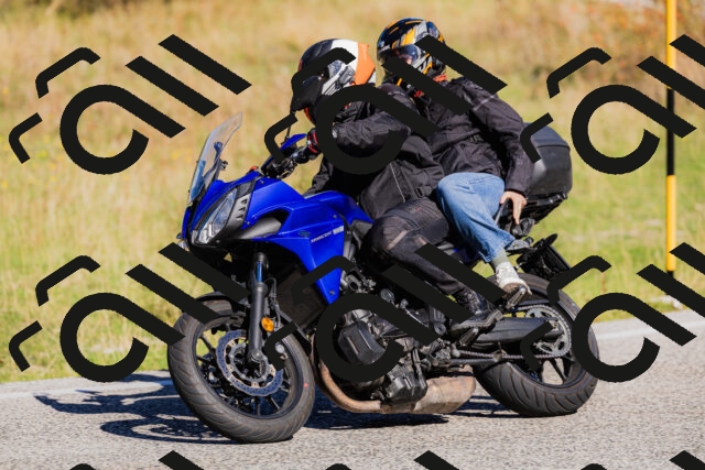 202509201104-_04A0517_c3