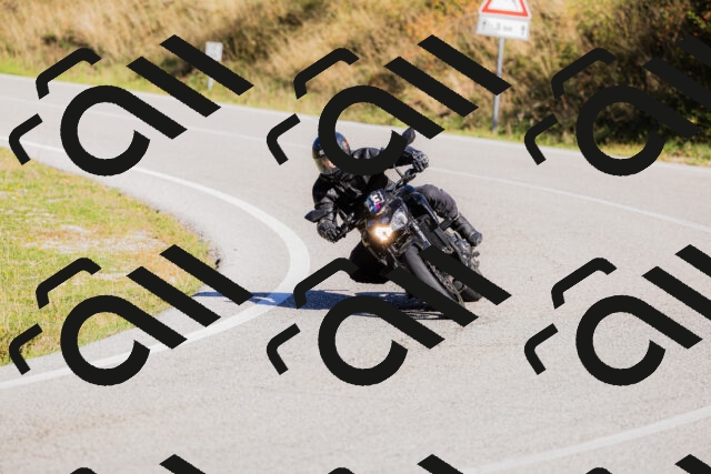 202509201104-_04A0519_c3