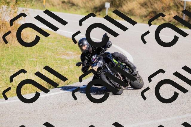 202509201104-_04A0520_c3