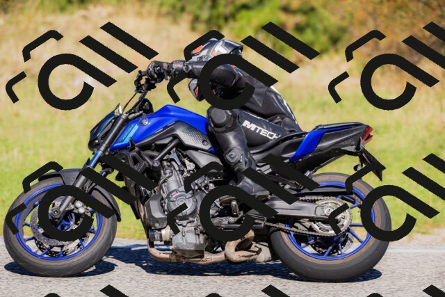 202509201105-_04A0530_c3