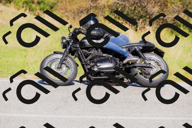 202509201108-_04A0552_c3