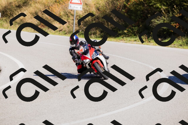 202509201108-_04A0559_c3