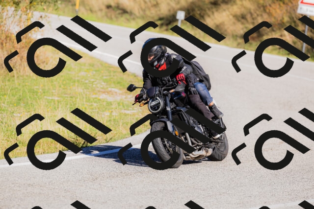 202509201110-_04A0566_c3