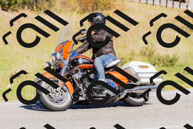 202509201111-_04A0575_c3