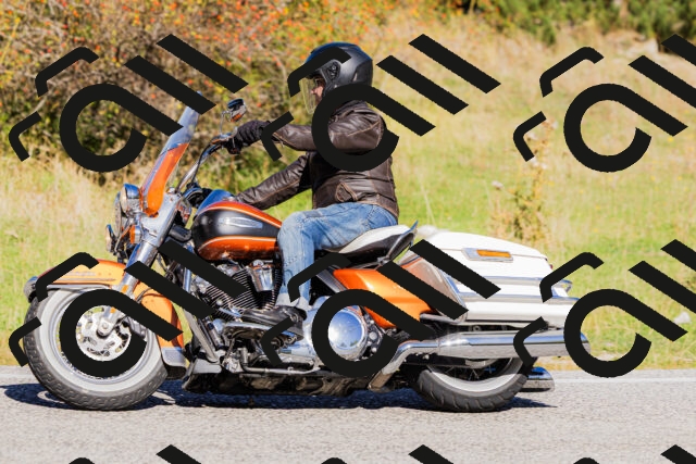 202509201111-_04A0576_c3