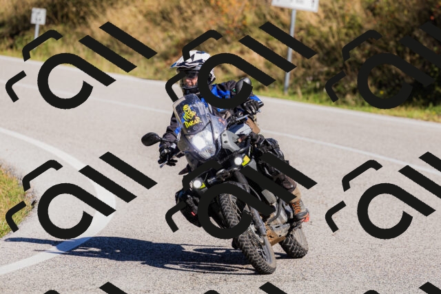 202509201112-_04A0577_c3