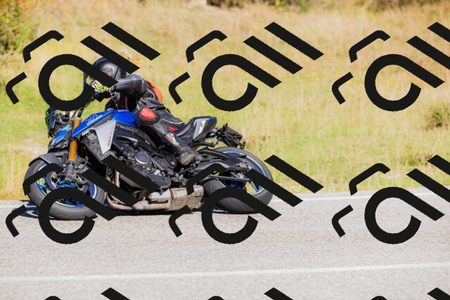 202509201116-_04A0588_c3