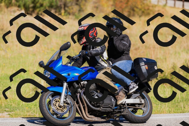 202509201116-_04A0606_c3