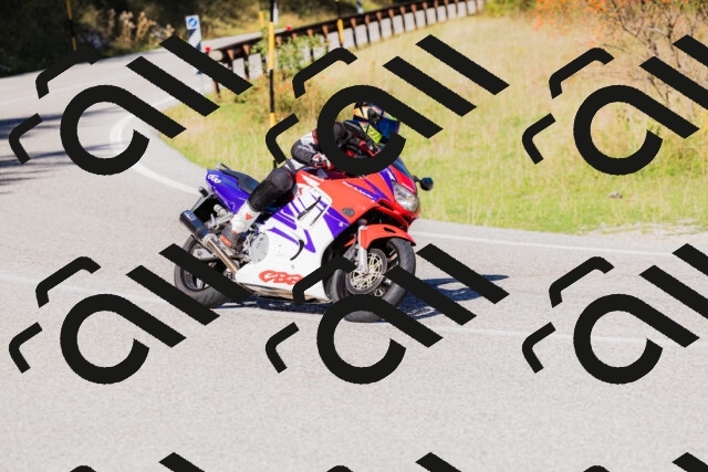 202509201117-_04A0618_c3