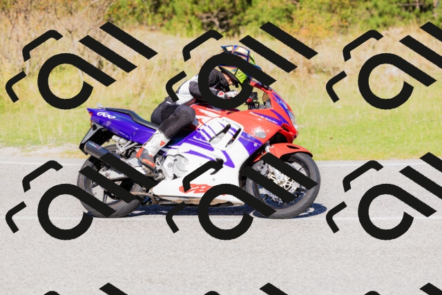 202509201117-_04A0619_c3