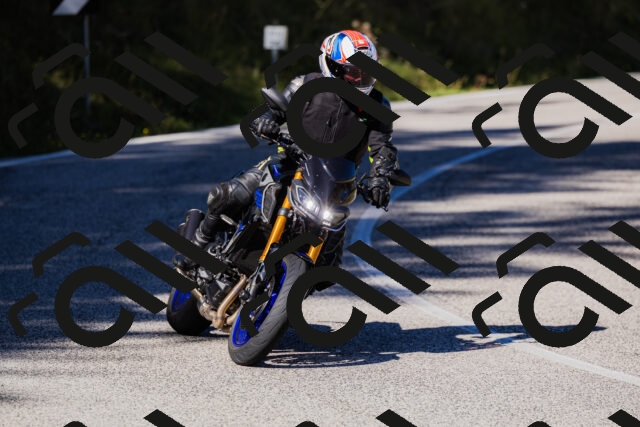 202509201120-_04A0630_c3