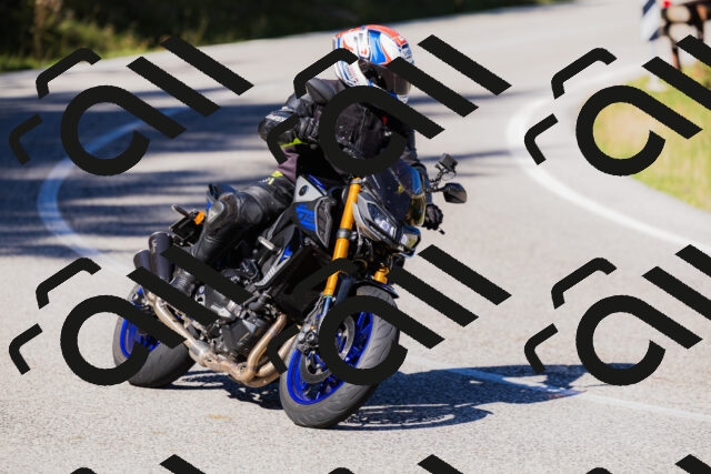 202509201120-_04A0631_c3