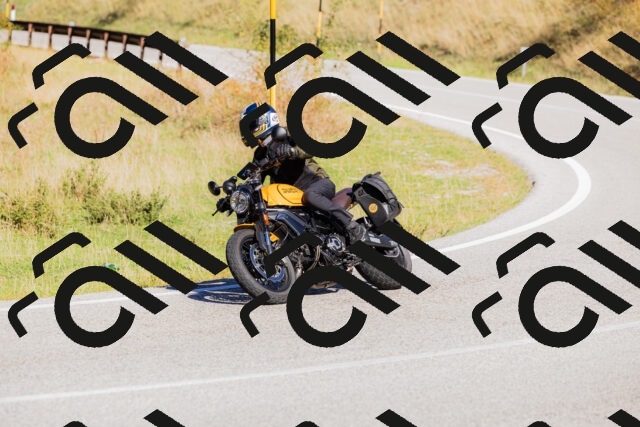 202509201121-_04A0661_c3