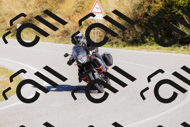 202509201122-_04A0662_c3